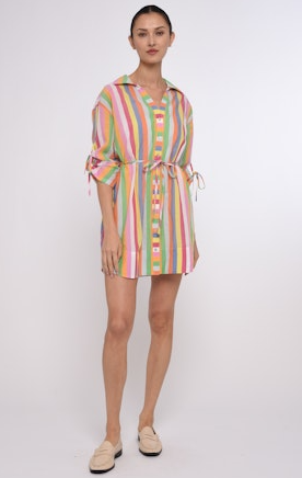 Shannon Mini Dress