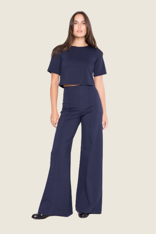 Ponte Pant