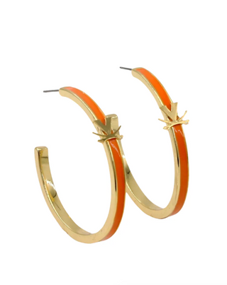 Virginia Logo Hoops