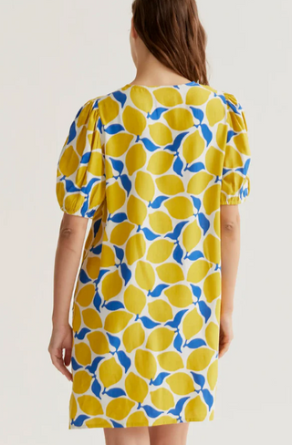 Short Print Dress