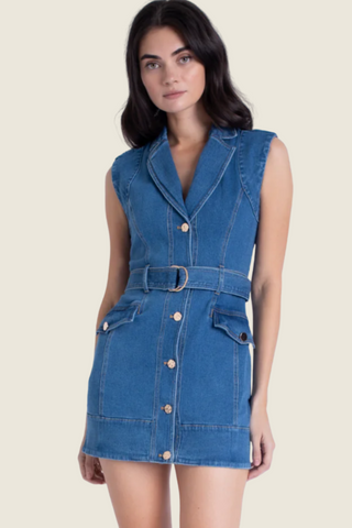 Selena Denim Mini Dress