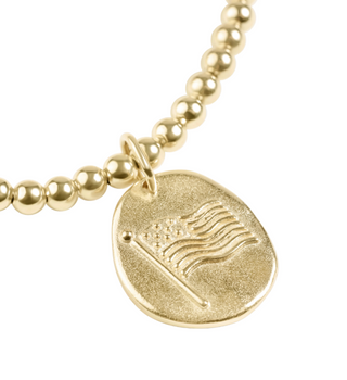 Classic 3mm Bracelet Inspire America Disc