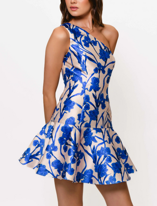 Silas One Shoulder Mini Dress