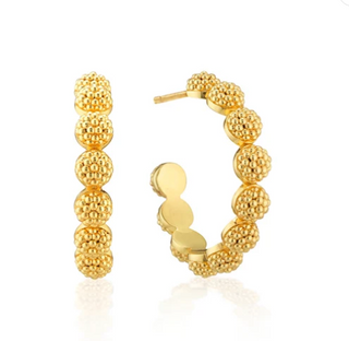 Berry Icon Small Hoop Earrings