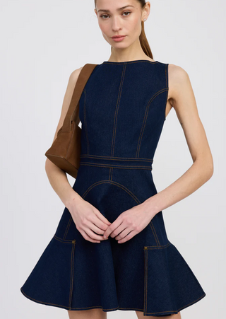 Seraphina Denim Mini Dress