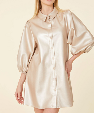Metallic Puff Sleeve Dress