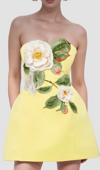 Strapless Embroidered Floral Dress