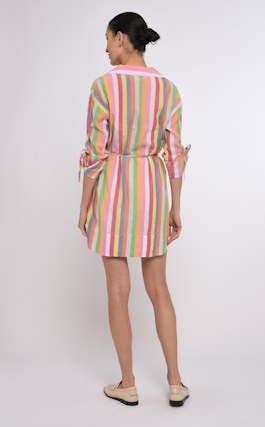 Shannon Mini Dress