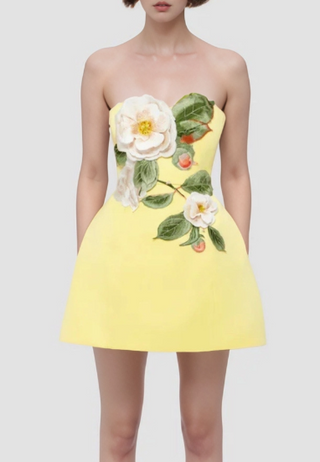 Strapless Embroidered Floral Dress